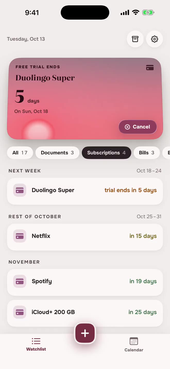 Aheado Watchlist filtered by Subscriptions: Duolingo Super, Netflix, Spotify and iCloud+